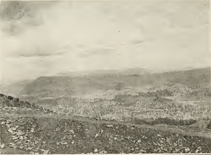 Looking east from large ruin