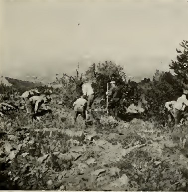 room a before excavation