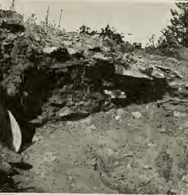 Room A after excavation