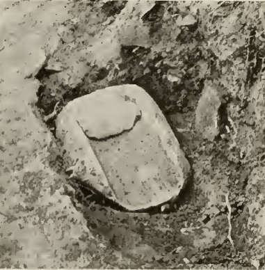 metate and mano in bin