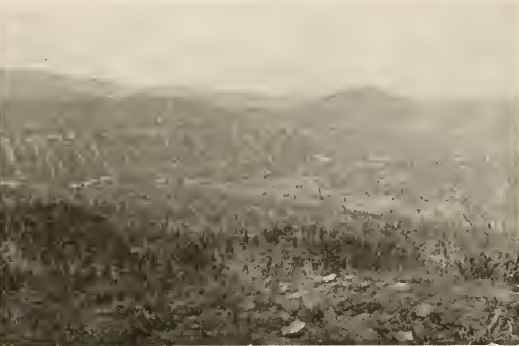 Looking south from large ruin
