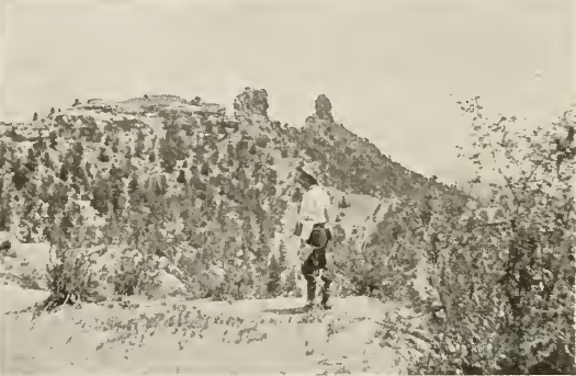 Looking west from large ruin.