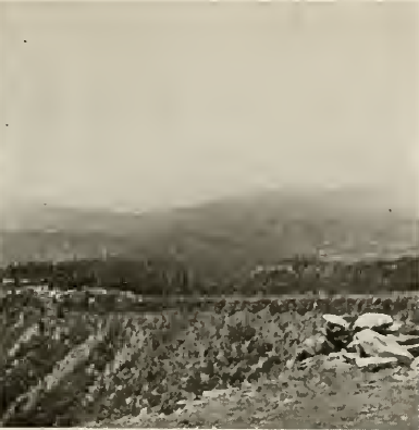 Looking across the top of the mesa and down the Piedra Valley.