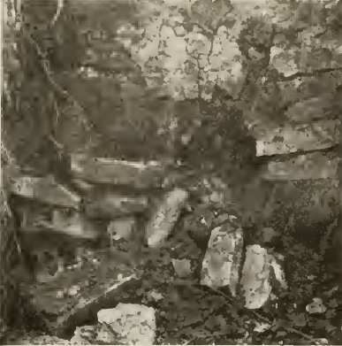 Dressed stone wall with old wall behind