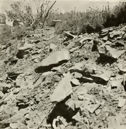 Pit-House before excavation