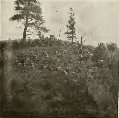 Tower before excavation