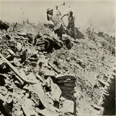 west end of guardhouse, before excavation