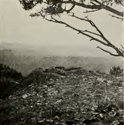 View of guardhouse from large ruin