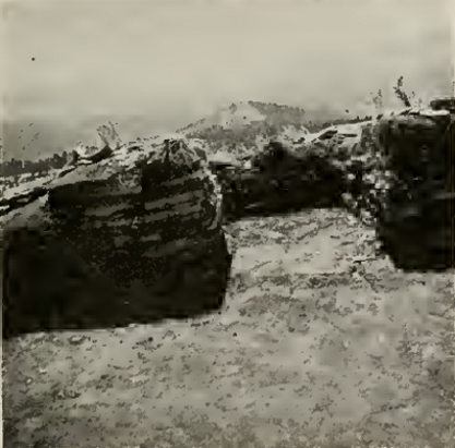 Katchina-Ki inGuardhouse