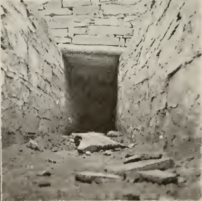 upper passage of double ventilator