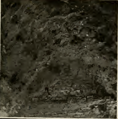 plaster on the walls of the big kiva