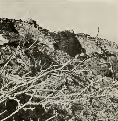 rooms on the edge of the cliff