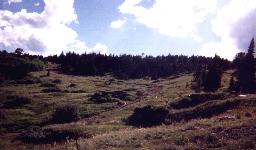 Main
                street of Caribou