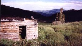 Jim
                Buttler House alternate view