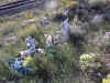 Chaffee County Colorado Graves