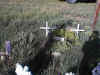 Chaffee County Colorado Graves