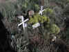 Chaffee County Colorado Graves