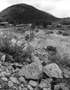 Chaffee County Colorado Genealogy and Family History