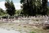 Chaffee County Colorado Genealogy and Family History
