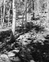 Chaffee County Colorado Genealogy and Family History