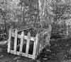 Chaffee County Colorado Genealogy and Family History