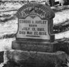 Chaffee County Colorado Genealogy and Family History