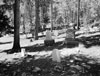 Chaffee County Colorado Genealogy and Family History