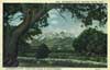 Chaffee County Colorado Genealogy and Family History
