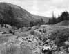 Chaffee County Colorado Genealogy and Family History