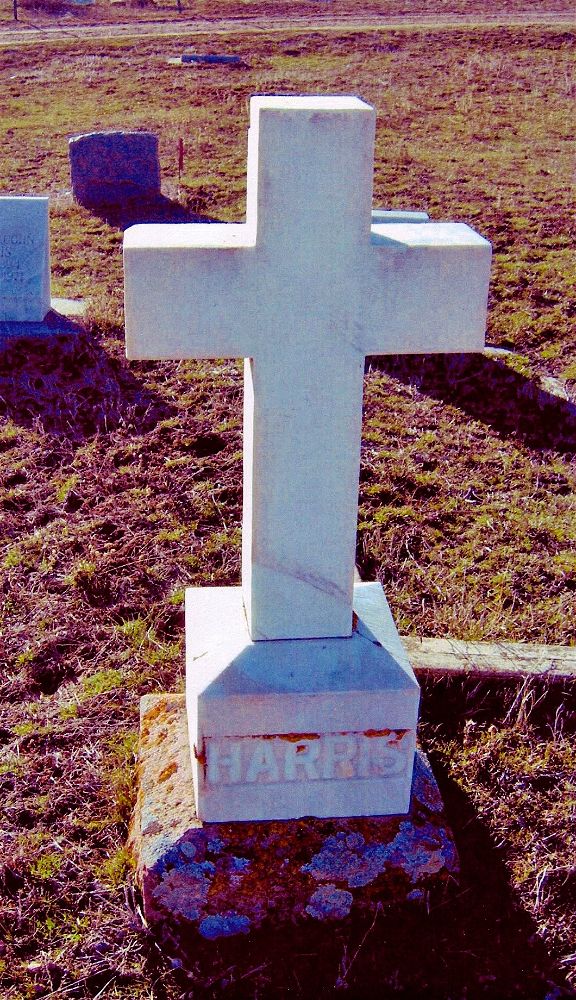 New Castle Colorado Ancestry