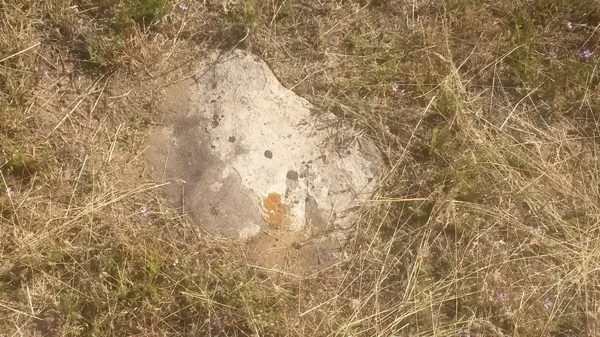 New Castle Colorado Genealogy