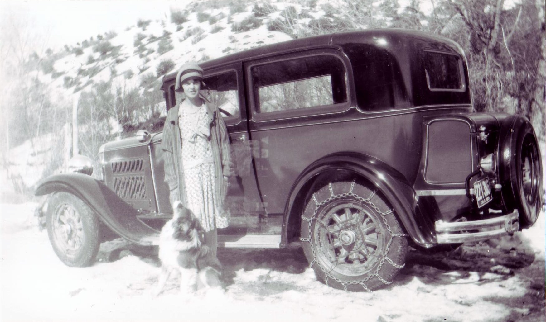 New Castle Colorado family trees