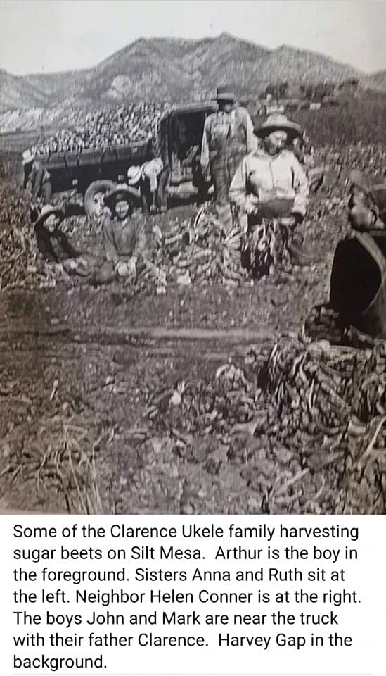 Silt Colorado Family History