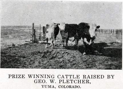 Geo W Pletcher