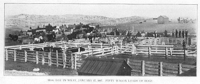 Hog Sale Jan 1907