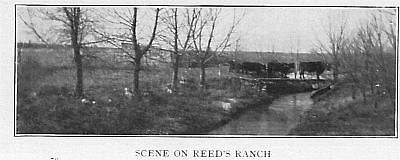 Reed's Ranch